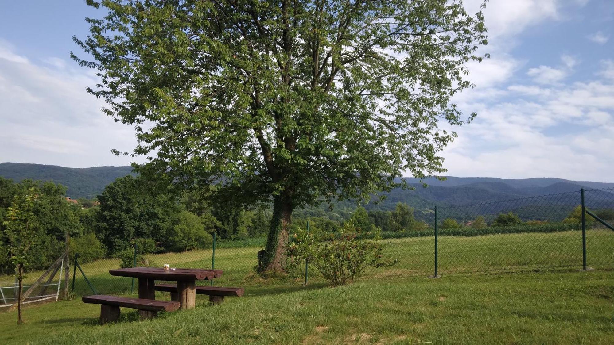 Holiday home Kuca Za Odmor Diva*** Donja Stubica